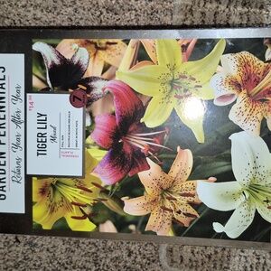 Tiger Lilly Perenial Kit